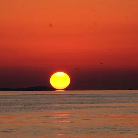 Golden Sunsets Split